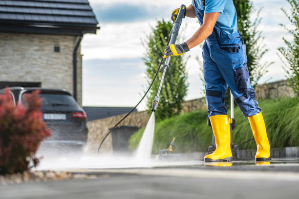 Best Roof Pressure Washing  in Effort, PA