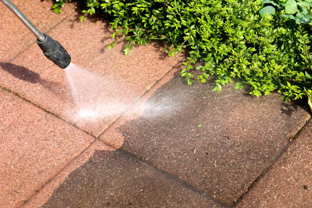 Best Roof Power Washing Services  in Effort, PA